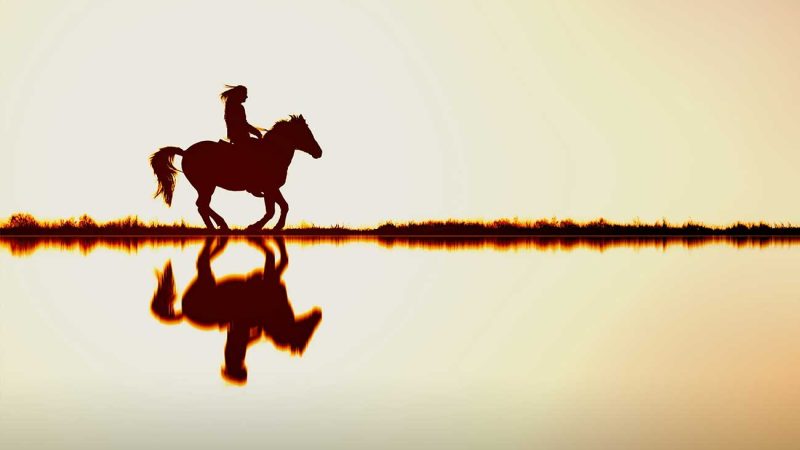 Sezai Karakoç’un Diriliş Tezi