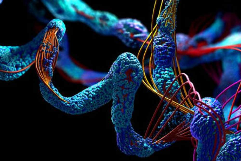 Boğaziçili Bilim İnsanları Proteinlerin Dilini Yapay Zekayla Çözmek için Çalışacak 1 Boğaziçili Bilim İnsanları Proteinlerin Dilini Yapay Zekayla Çözmek için Çalışacak