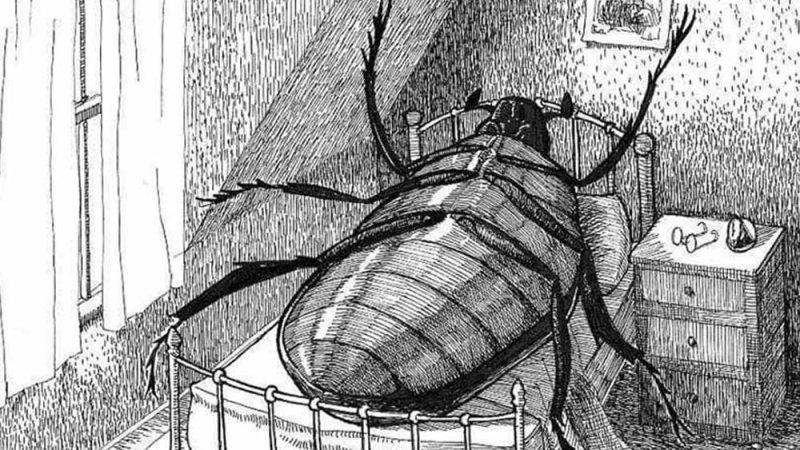 Franz Kafka’nın İki Eseri Üzerine İnceleme ve Değerlendirme